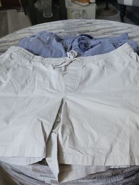 2 Mens Shorts